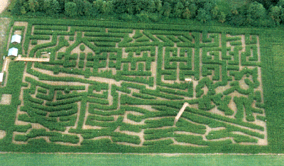 At the Maize Maze